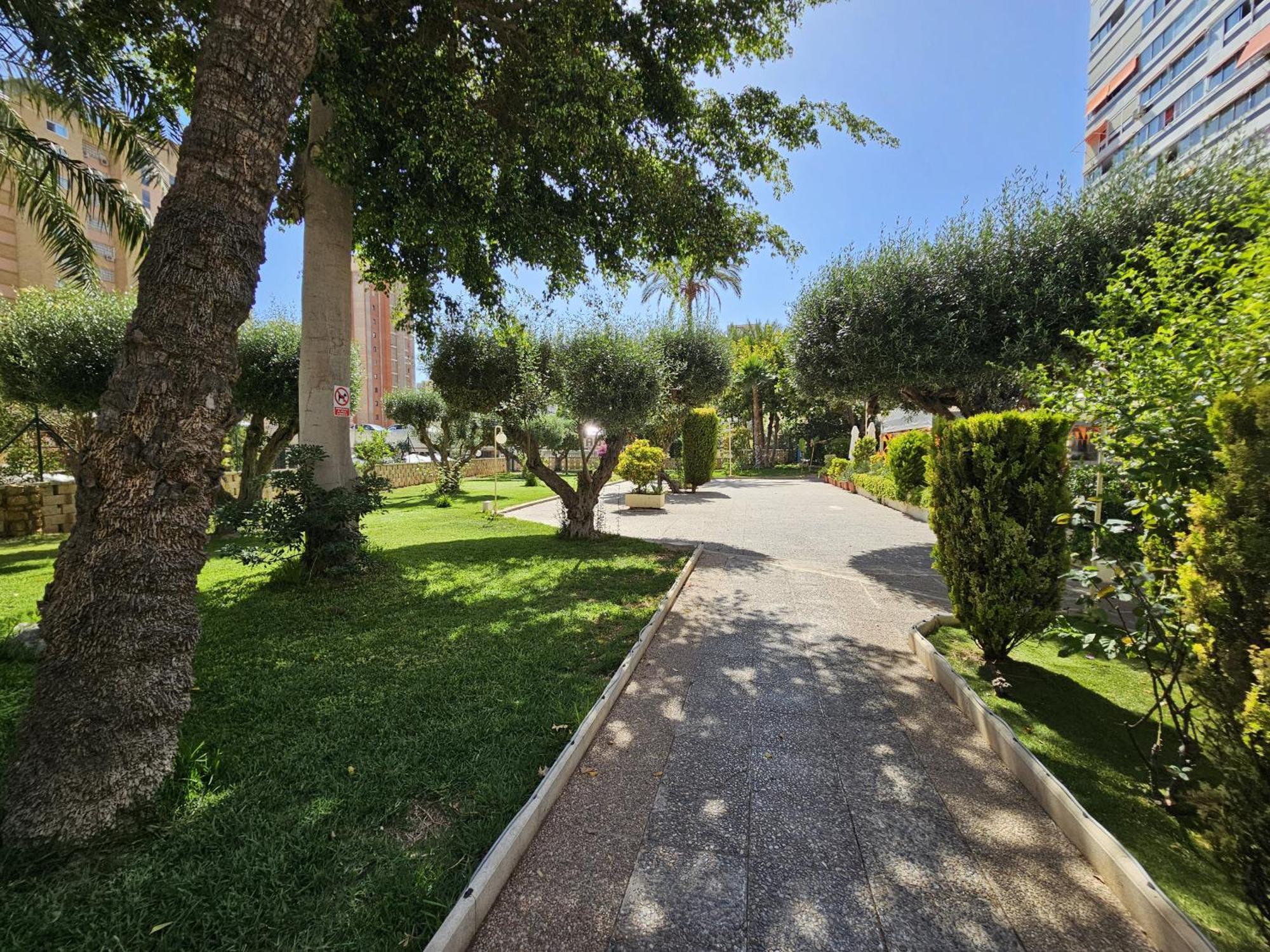 Apartamento Cervantes If Benidorm